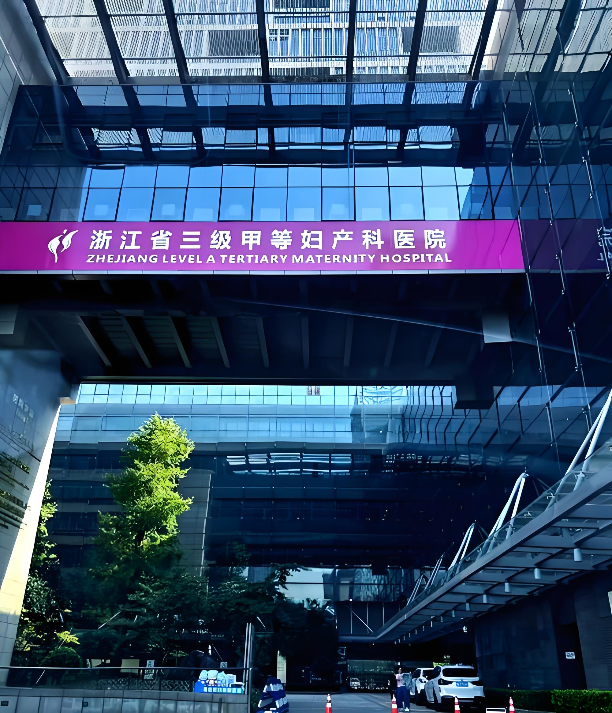 IVF and Fertility Treatment in China